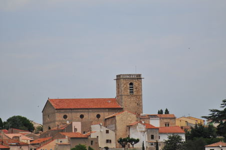 photo base